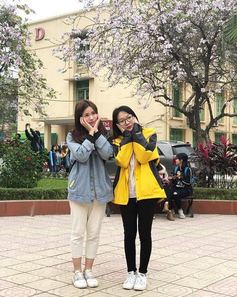 Sinh viên 'phát sốt' với hoa ban bung nở khắp sân trường ảnh 5