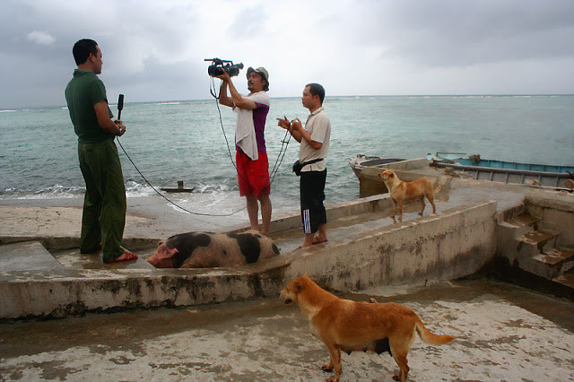Ra cầu cảng vừa trông cho 