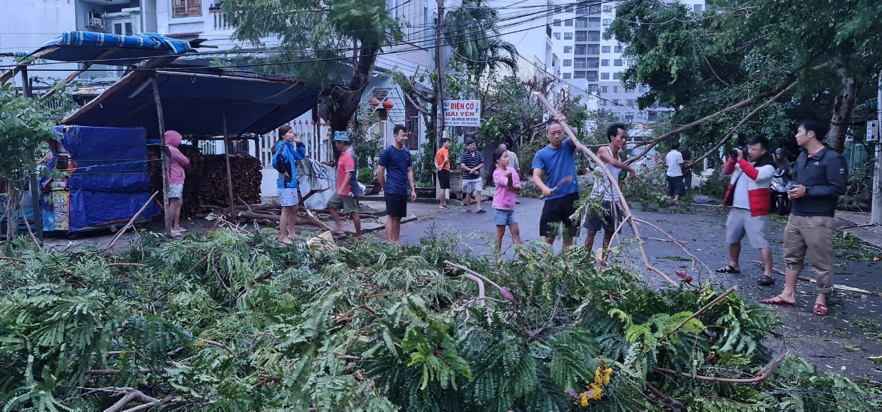 Bão tan, dân Đà Nẵng cùng lực lượng chức năng dọn dẹp đường phố ảnh 8