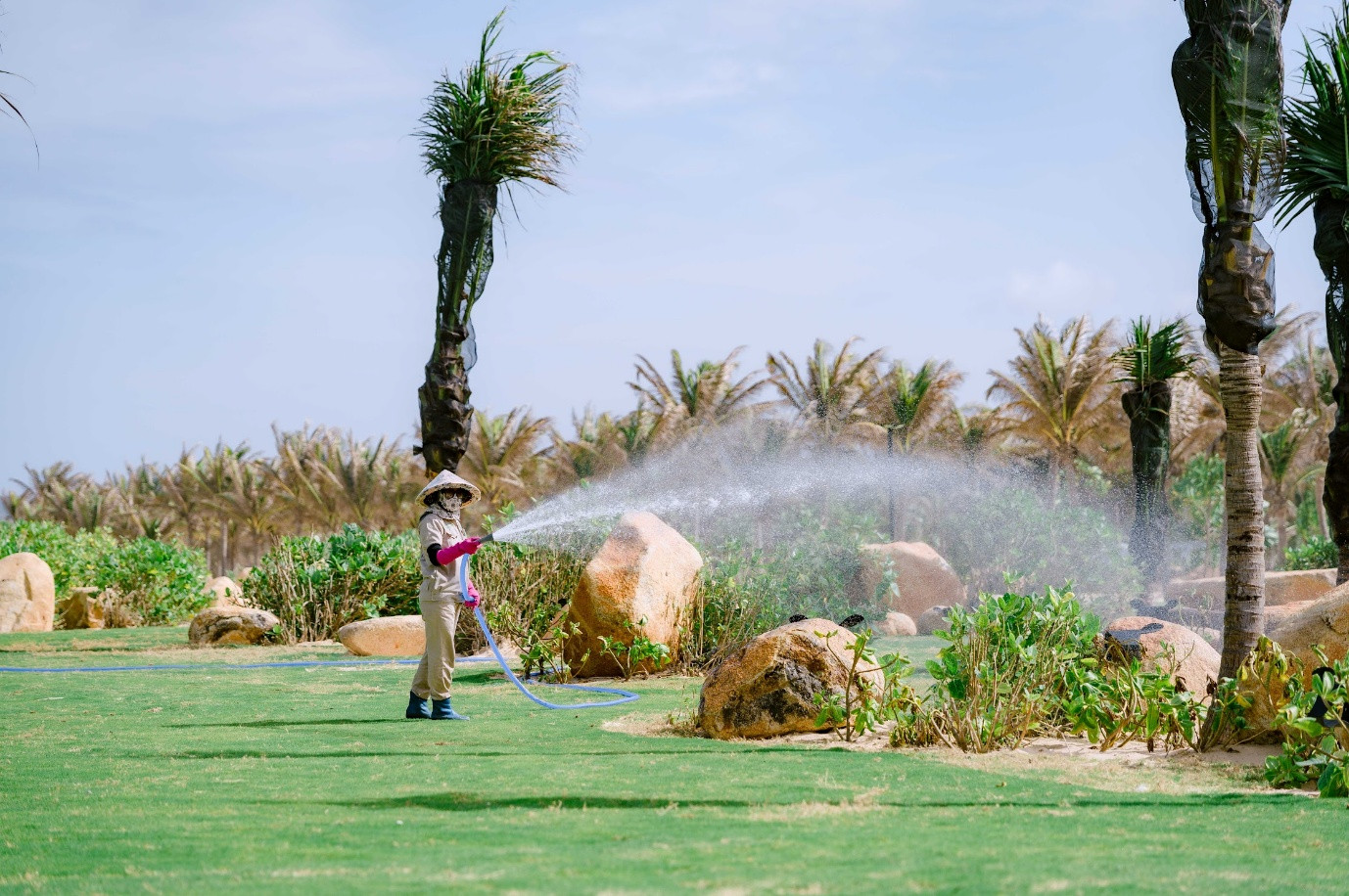 “Trái tim thầm lặng" cần mẫn và tâm huyết kiến tạo mảng xanh.