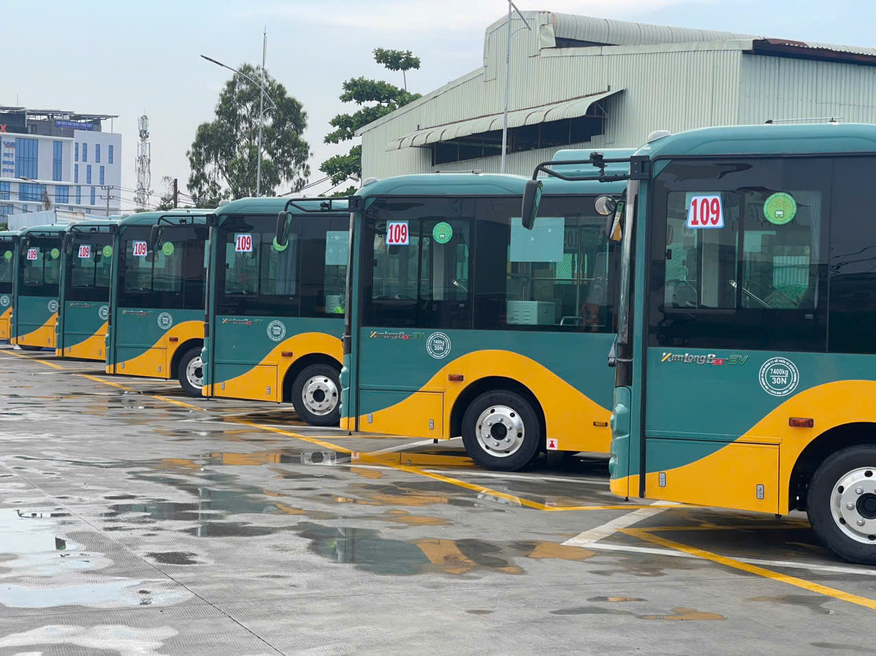 Dàn xe buýt hiện đại với tông màu xanh – vàng nổi bật (Ảnh: FUTA)