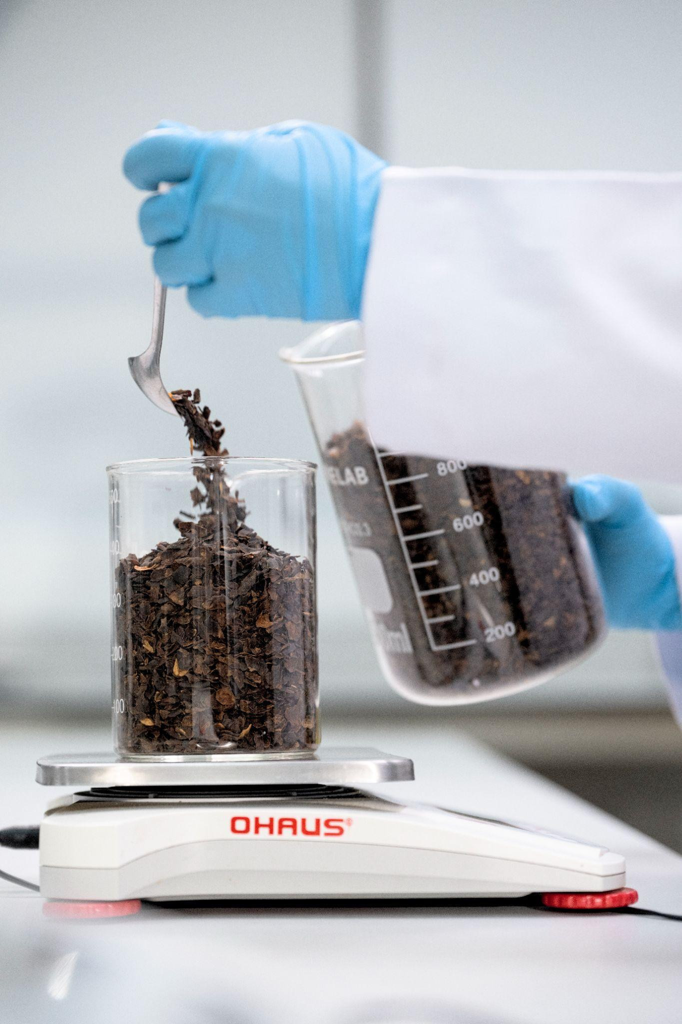 Nhân viên nghiên cứu tại phòng thí nghiệm phân tích các thành phần dinh dưỡng và chất chống oxy hóa có trong trà Cascara (vỏ cà phê)