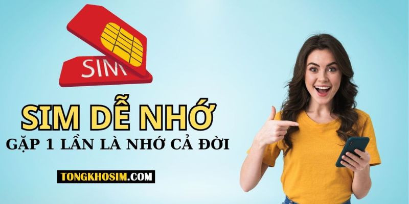 Sim số đẹp là những sim có số dễ nhớ