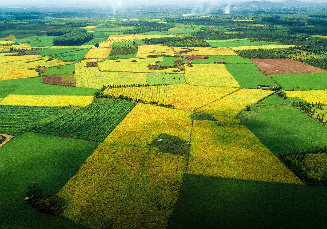Vinasoy tiên phong phát triển chuỗi giá trị đậu nành bền vững tại Việt Nam. Vinasoy tiên phong phát triển chuỗi giá trị đậu nành bền vững tại Việt Nam.