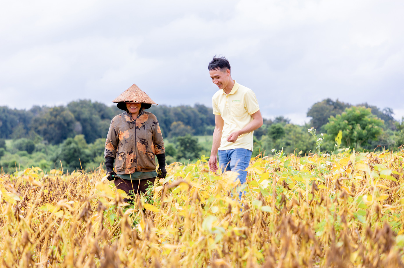 Đậu nành mang đến nhiều lợi ích quý giá cho cả con người và môi trường. Đậu nành mang đến nhiều lợi ích quý giá cho cả con người và môi trường.