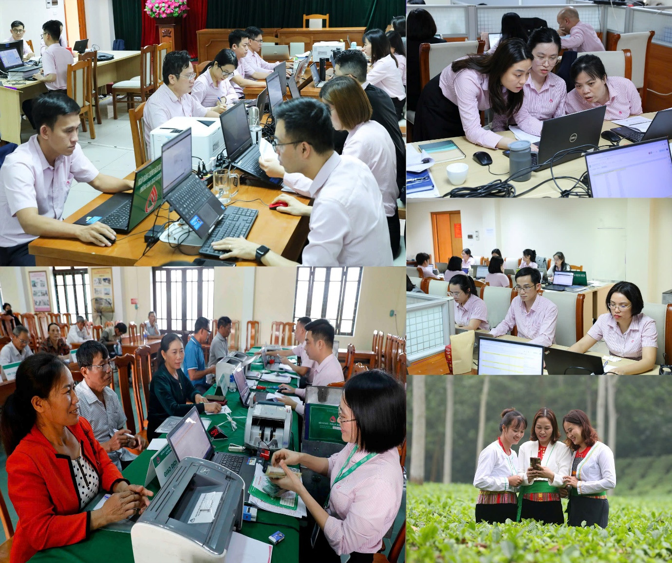 Nghị quyết của Đảng uỷ NHCSXH TW đề ra những mục tiêu rất cụ thể, đổi mới cách nghĩ, cách làm, giải phóng năng lực để thúc đẩy đột phá trong phát triển khoa học, công nghệ, đổi mới sáng tạo và chuyển đổi số