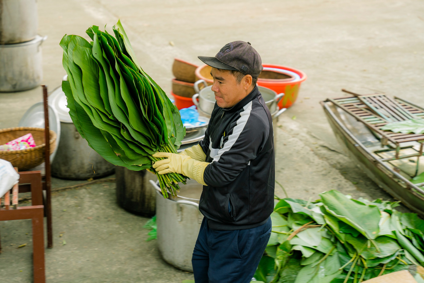 Những chiếc lá dong xanh mướt.