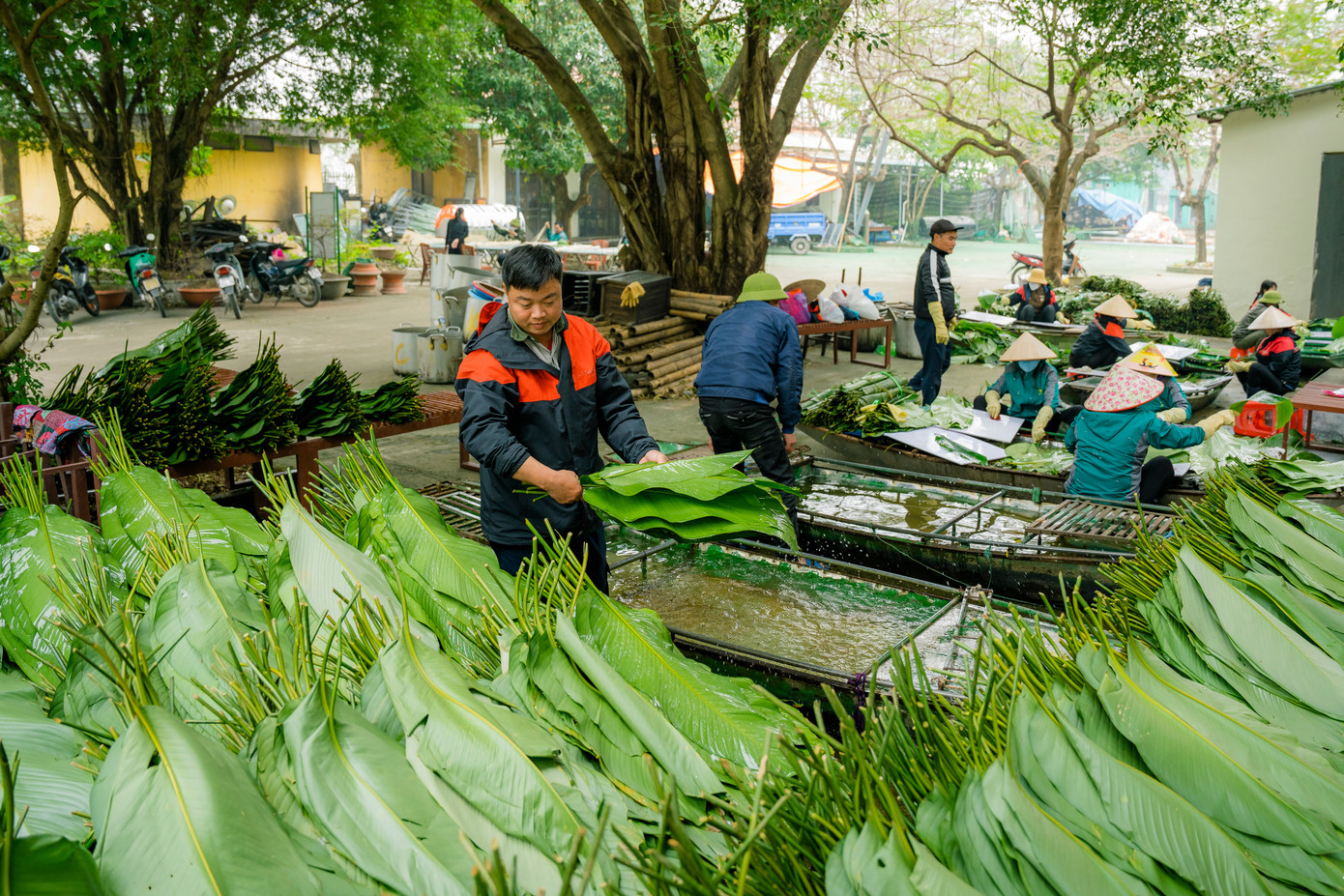 Tấp nập gói bánh ngày cận Tết.
