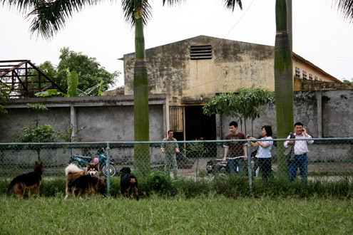Cuối tuần, nhiều bạn trẻ cùng gia đình lên thăm chó