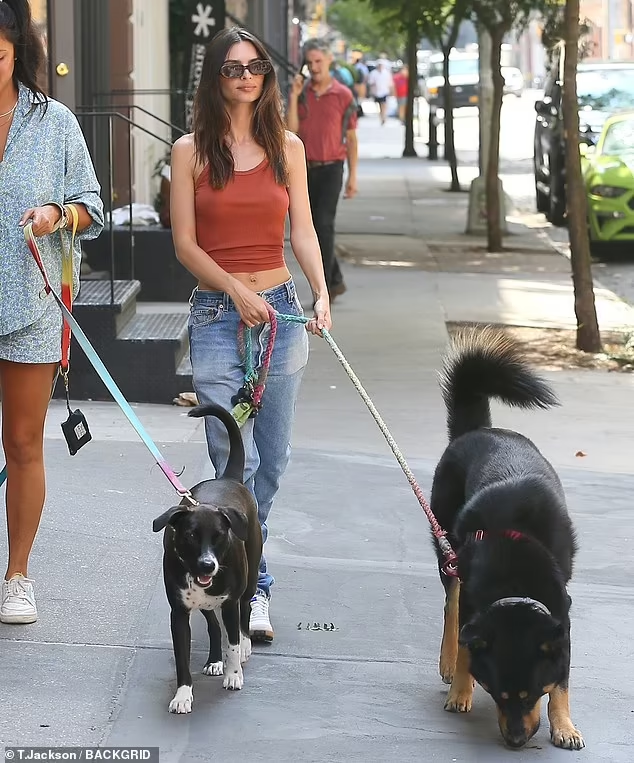 Emily Ratajkowski vừa quyết định chia tay chồng là nam diễn viên kiêm nhà sản xuất Sebastian Bear-McClard hơn cô 10 tuổi sau khi phát hiện chồng từng lên giường với nhiều phụ nữ trong thời gian hôn nhân. Emily Ratajkowski vừa quyết định chia tay chồng là nam diễn viên kiêm nhà sản xuất Sebastian Bear-McClard hơn cô 10 tuổi sau khi phát hiện chồng từng lên giường với nhiều phụ nữ trong thời gian hôn nhân.