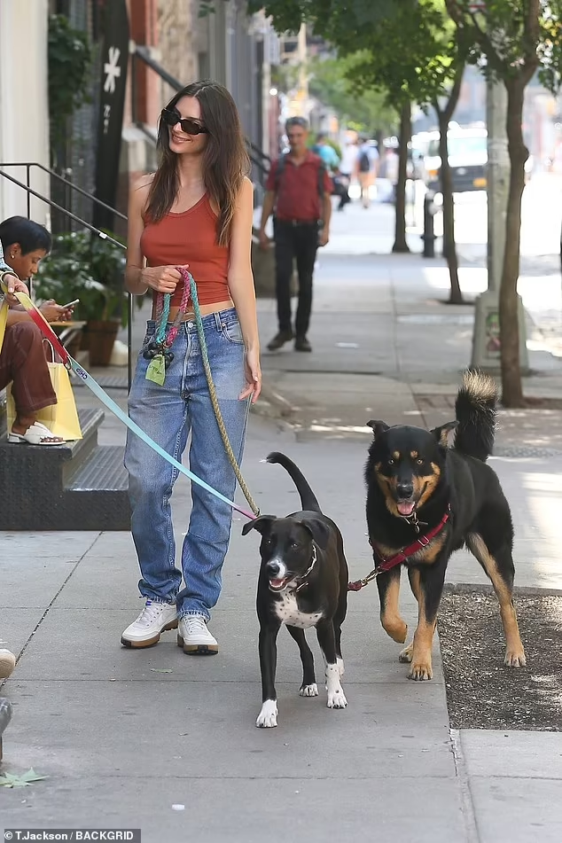 Nàng mẫu sinh năm 1991 mặc crop top ôm sát cơ thể, lộ rõ vòng một không nội y nâng đỡ, phối quần jeans và giầy thể thao đơn giản khi dạo phố cùng chú chó cưng. Gương mặt cô tươi cười rạng rỡ, dường như đã vượt qua nỗi buồn ly hôn. Nàng mẫu sinh năm 1991 mặc crop top ôm sát cơ thể, lộ rõ vòng một không nội y nâng đỡ, phối quần jeans và giầy thể thao đơn giản khi dạo phố cùng chú chó cưng. Gương mặt cô tươi cười rạng rỡ, dường như đã vượt qua nỗi buồn ly hôn.