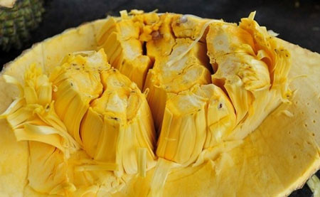 Ăn mít làm giảm nguy cơ ung thư ảnh 1