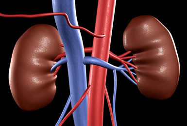 Dấu hiệu cảnh báo bạn đã bị bệnh thận