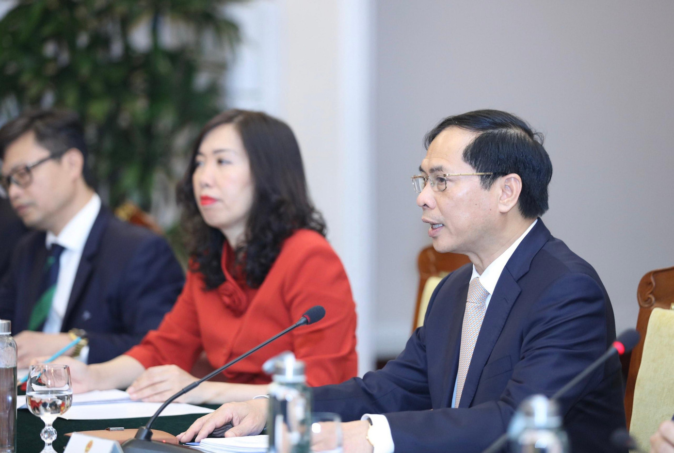 Bộ trưởng Bùi Thanh Sơn tại cuộc hội đàm. (Ảnh: Như Ý)