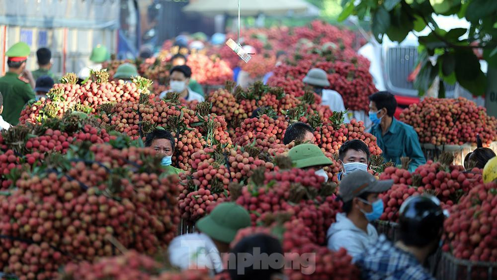Nông dân Lục Ngạn, Bắc Giang tiêu thụ đưa vải thiều đi tiêu thụ tại Thị trấn Chũ. Ảnh: Hoàng Mạnh Thắng