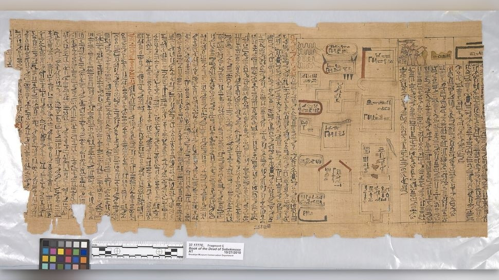 Bản sao "Cuốn sách của người chết" được tìm thấy trong một ngôi mộ từ triều đại 18, khoảng năm 1550 đến 1295 trước Công nguyên. (Ảnh: Sepia Times/Universal Images Group) Bản sao "Cuốn sách của người chết" được tìm thấy trong một ngôi mộ từ triều đại 18, khoảng năm 1550 đến 1295 trước Công nguyên. (Ảnh: Sepia Times/Universal Images Group)