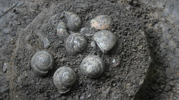 Cận cảnh di cốt người tiền sử. Cận cảnh di cốt người tiền sử