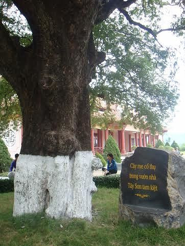 Hàng vạn người về dự Lễ hội Đống đa Tây Sơn ảnh 3