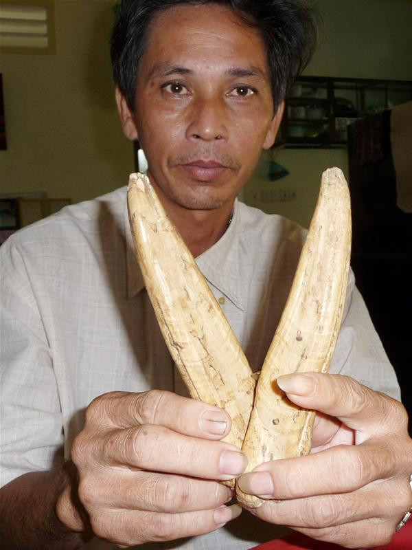 Ông Nguyễn Văn Khanh với kỷ niệm cuối cùng của thời săn bắt dugong Ông Nguyễn Văn Khanh với kỷ niệm cuối cùng của thời săn bắt dugong