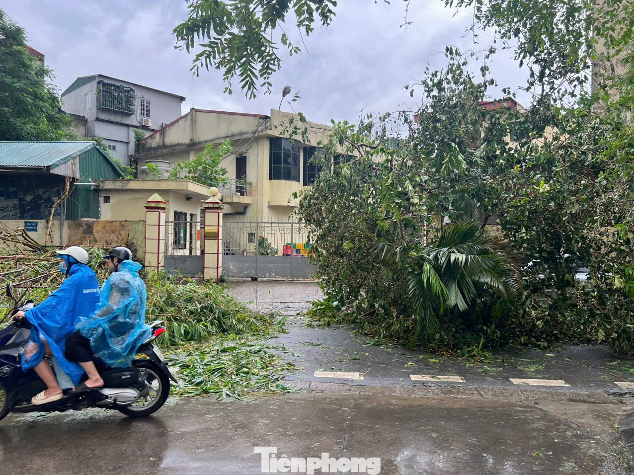 Theo ghi nhận, sáng 8/9, nhiều tuyến phố Hà Nội đã bị tàn phá nặng nề sau cơn bão số 3. Cây cối hai bên đường đổ gãy ngổn ngang. Theo ghi nhận, sáng 8/9, nhiều tuyến phố Hà Nội đã bị tàn phá nặng nề sau cơn bão số 3. Cây cối hai bên đường đổ gãy ngổn ngang.