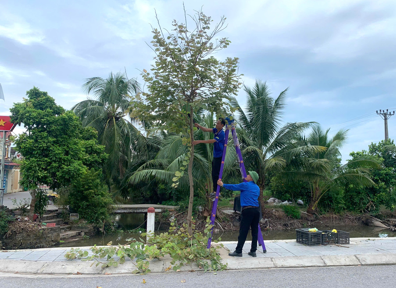 Thanh niên Tứ Kỳ tham gia phát quang
