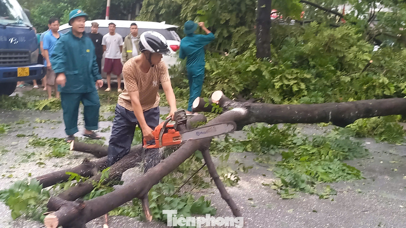 Lực lượng chức năng thu dọn cây đổ trên đường Tân Khai, quận Hoàng Mai. Lực lượng chức năng thu dọn cây đổ trên đường Tân Khai, quận Hoàng Mai.