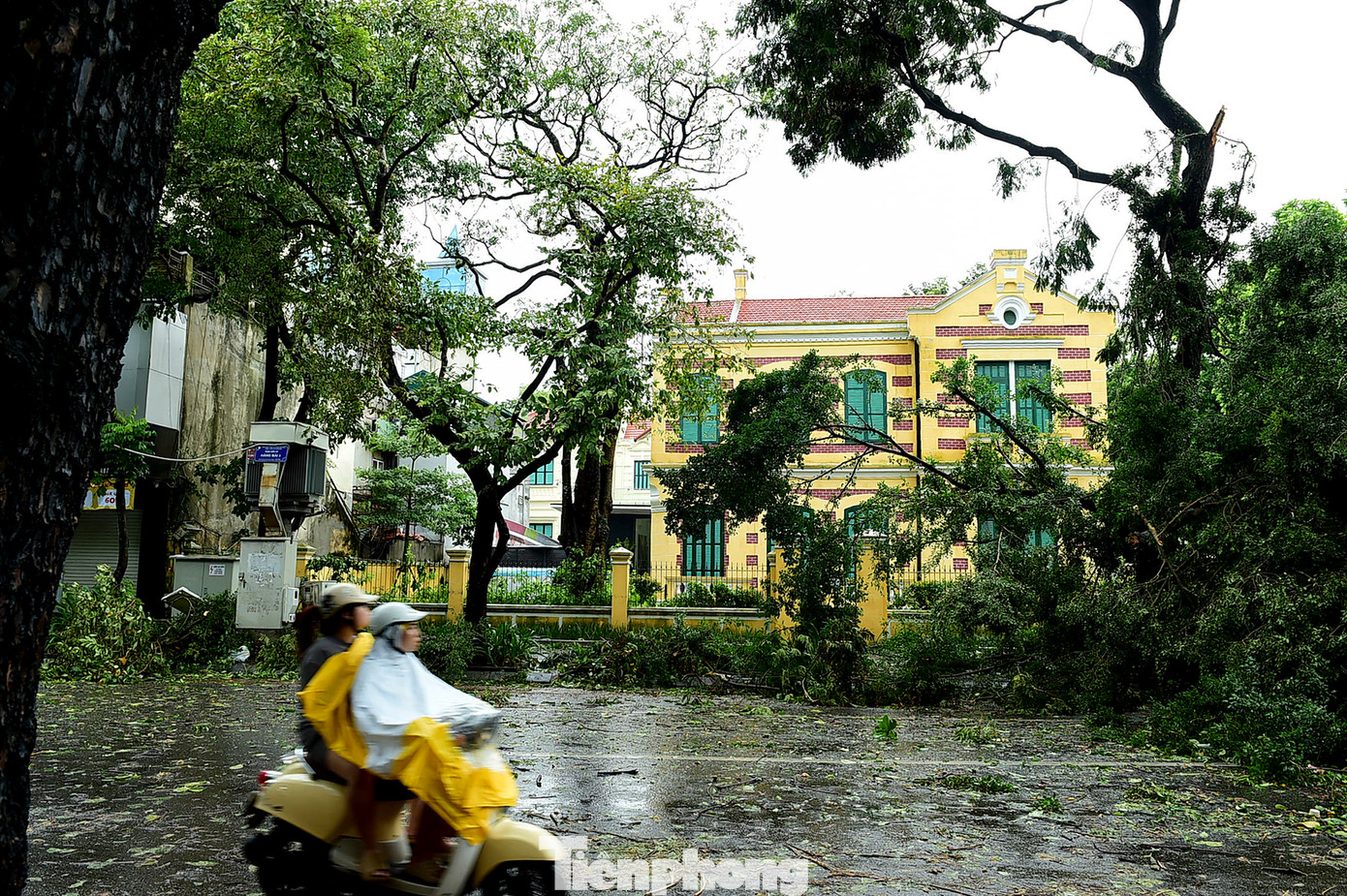 Toà biệt thự Pháp cổ nằm ở góc phố Trần Hưng Đạo - Hàng Bài từng được nhận nhiều người biết đến, quan tâm trong quá trình trùng tu và gây tranh cãi về màu sơn của biệt thự.
