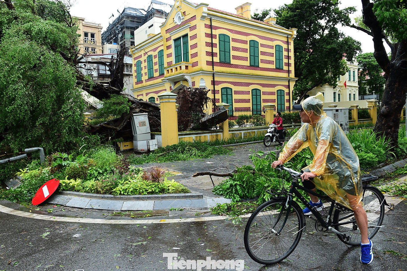 Sáng 8/9, nhiều người dân đi qua không khỏi tiếc nuối trước hình ảnh ngổn ngang của cây si cổ thụ gắn với toà biệt thự cổ này, cũng như hàng loạt cây xanh trên nhiều tuyến phố của Hà Nội.