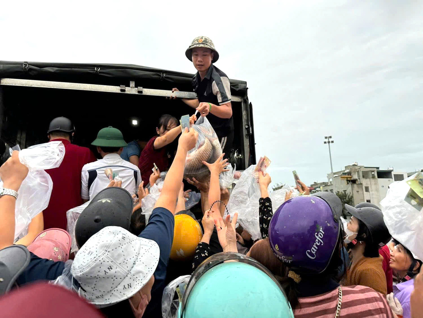 Chương trình hỗ trợ tiêu thụ cá lồng trên sông được người dân hưởng ứng. Ảnh: TĐHD