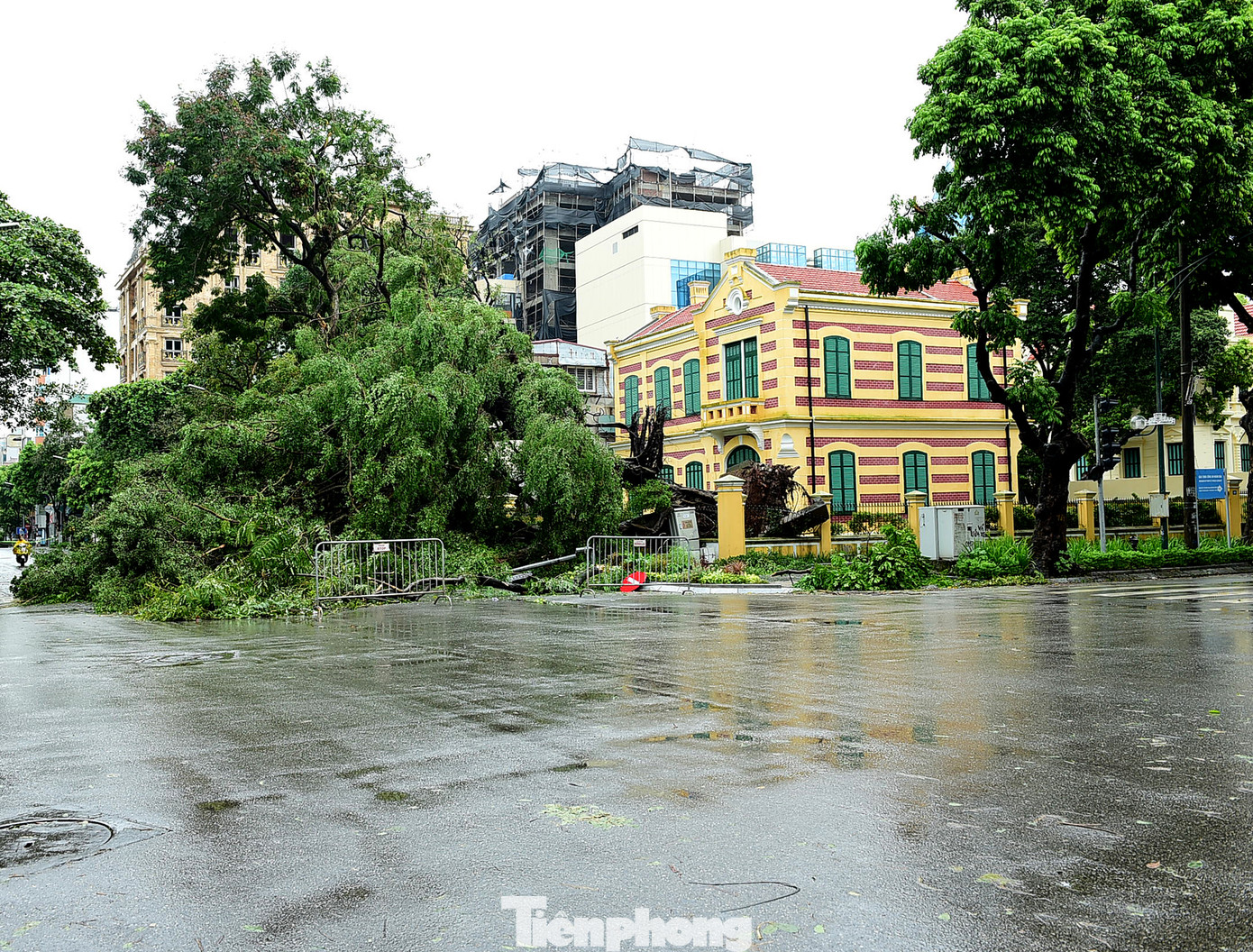 Tối 7/9, bão YAGI (bão số 3) mang theo mưa lớn và gió giật mạnh ập vào Hà Nội khiến nhiều cây xanh bật gốc, gãy đỗ. Trong đó, có cây si cổ thụ trong khuôn viên toà biệt thự Pháp cổ ở 49 nằm ở góc phố Trần Hưng Đạo-Hàng Bài.