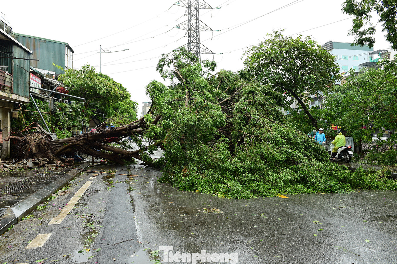 Nhiều cây trên trục đường Tam Trinh đổ gãy. Nhiều cây trên trục đường Tam Trinh đổ gãy.