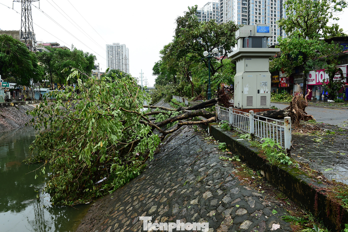 Nhiều cây trên trục đường Tam Trinh đổ gãy. Nhiều cây trên trục đường Tam Trinh đổ gãy.