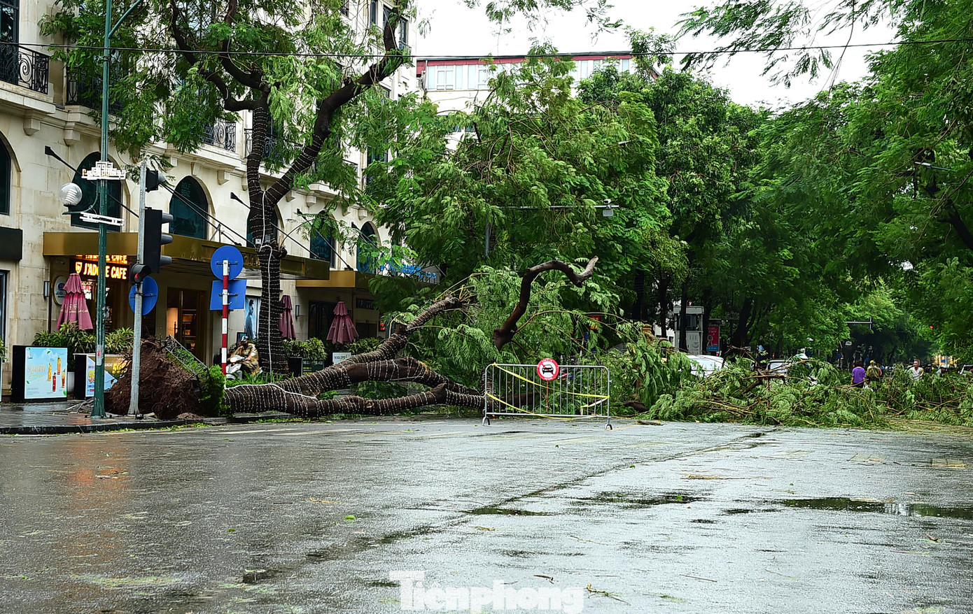 Cây đổ ngổn ngang ảnh hưởng tới việc di chuyển trên nhiều tuyến phố. Lực lượng chức năng đã thực hiện cảnh báo, ngăn đường để bảo đảm việc an toàn và thu dọn. Cây đổ ngổn ngang ảnh hưởng tới việc di chuyển trên nhiều tuyến phố. Lực lượng chức năng đã thực hiện cảnh báo, ngăn đường để bảo đảm việc an toàn và thu dọn.