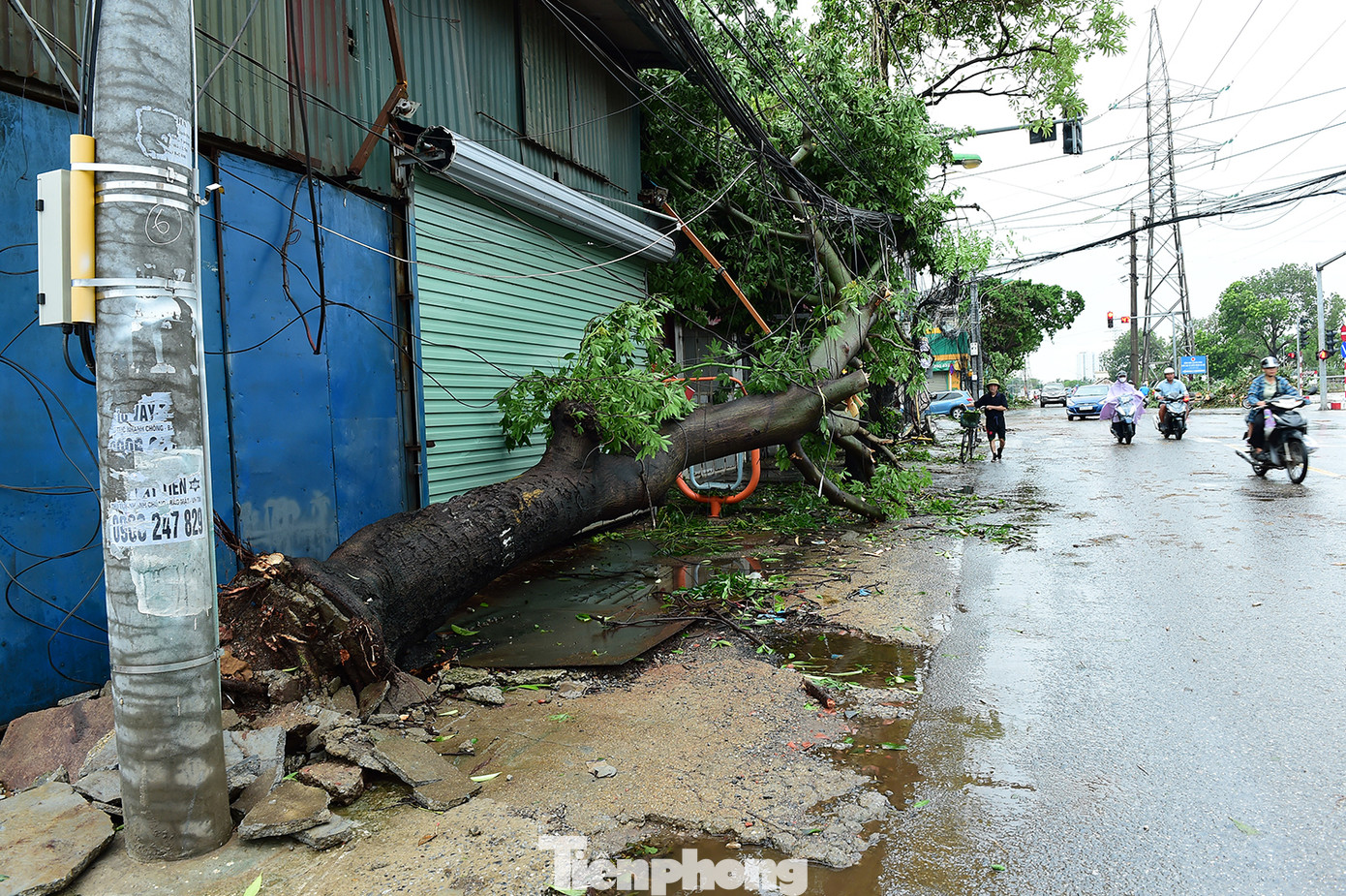Nhiều cây trên trục đường Tam Trinh đổ gãy. Nhiều cây trên trục đường Tam Trinh đổ gãy.