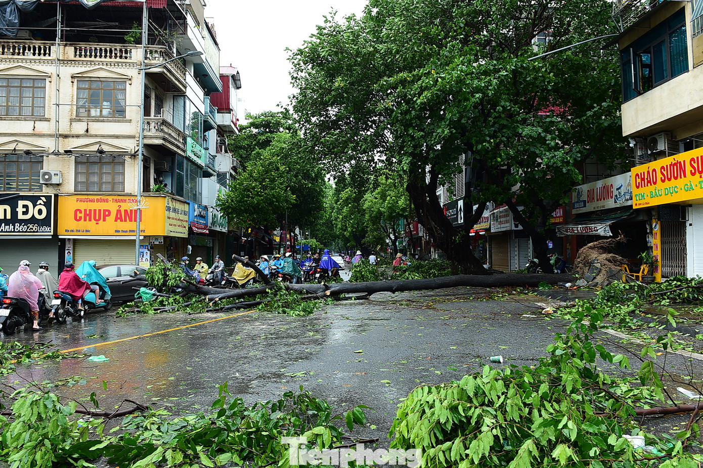 Cây lớn đổ ngay đầu đường Lò Đúc khiến việc di chuyển khó khăn. Cây lớn đổ ngay đầu đường Lò Đúc khiến việc di chuyển khó khăn.