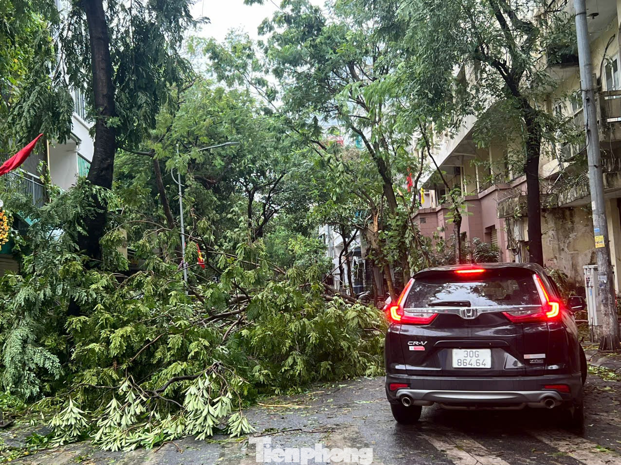 Theo ghi nhận, sáng 8/9, nhiều tuyến phố Hà Nội đã bị tàn phá nặng nề sau cơn bão số 3. Cây cối hai bên đường đổ gãy ngổn ngang. Theo ghi nhận, sáng 8/9, nhiều tuyến phố Hà Nội đã bị tàn phá nặng nề sau cơn bão số 3. Cây cối hai bên đường đổ gãy ngổn ngang.