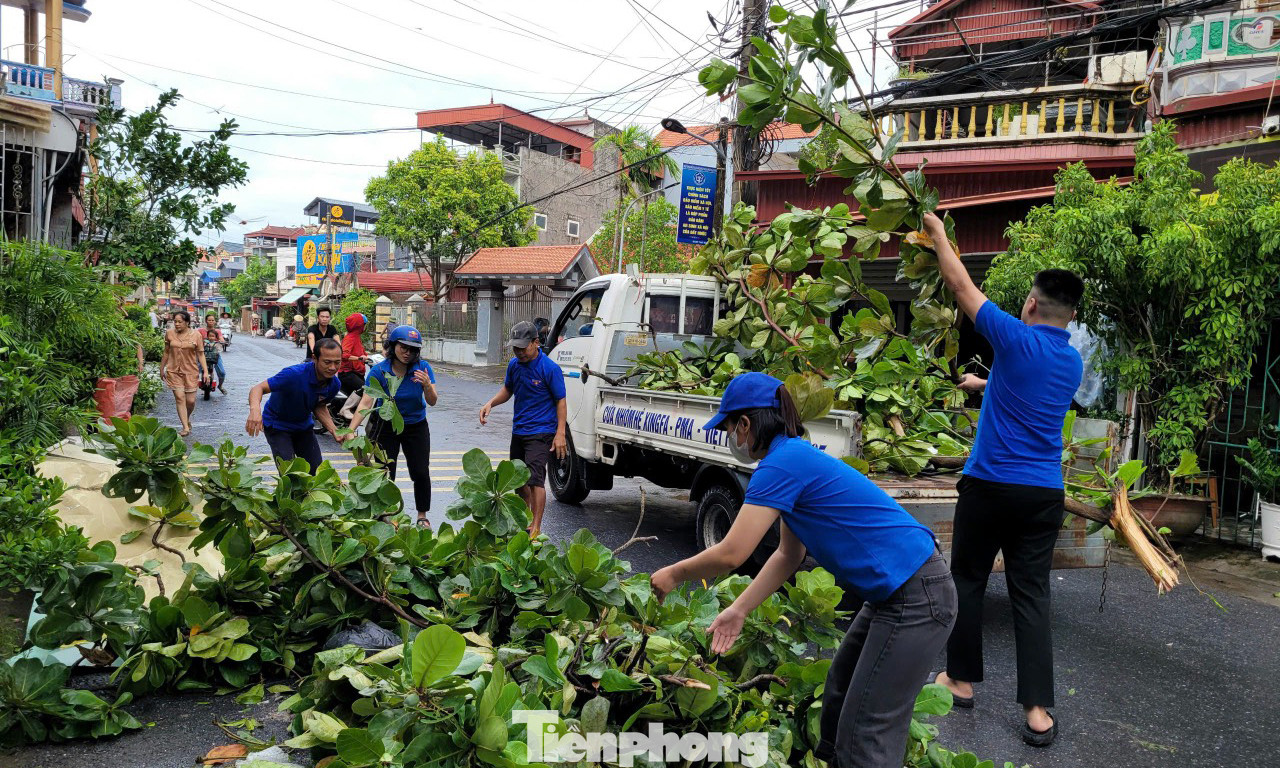 Đoàn viên thanh niên thu dọn cây gãy đổ sau bão YAGI. Ảnh: TĐTB Đoàn viên thanh niên thu dọn cây gãy đổ sau bão YAGI. Ảnh: TĐTB