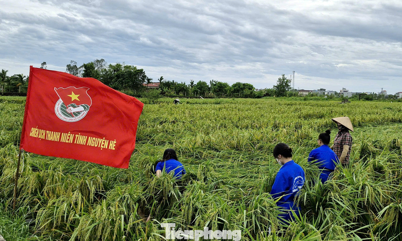 Áo xanh tiếp tục phát huy tinh thần xung kích tình nguyện Hè và sẵn sàng tham gia các phần việc đột xuất. Ảnh: TĐTB Áo xanh tiếp tục phát huy tinh thần xung kích tình nguyện Hè và sẵn sàng tham gia các phần việc đột xuất. Ảnh: TĐTB