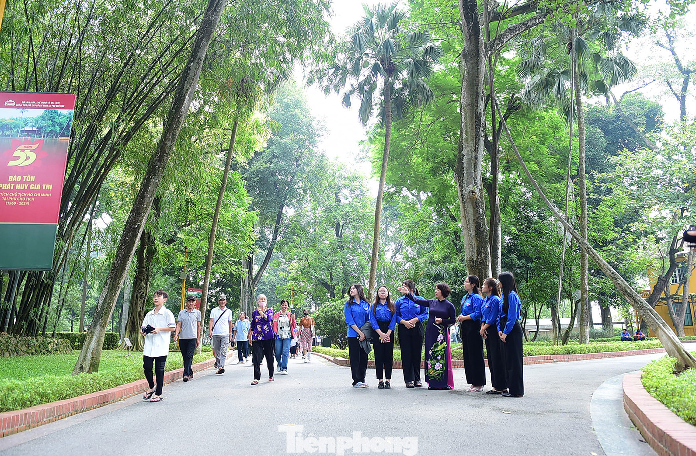 Thân chính và rễ phụ của cây đa "Kiên trì" gắn liền với nhau tạo thành vòm cửa đón chào du khách. Ảnh: Xuân Tùng