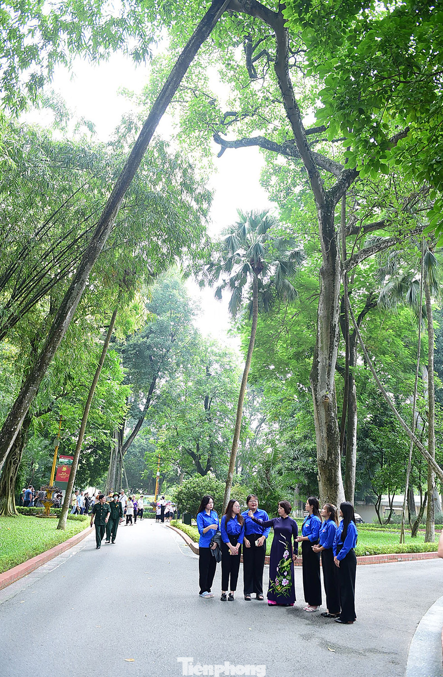 Bà Cù Thị Minh trò chuyện, giới thiệu cây đa "Kiên trì" với đoàn viên thanh niên. Ảnh: Xuân Tùng