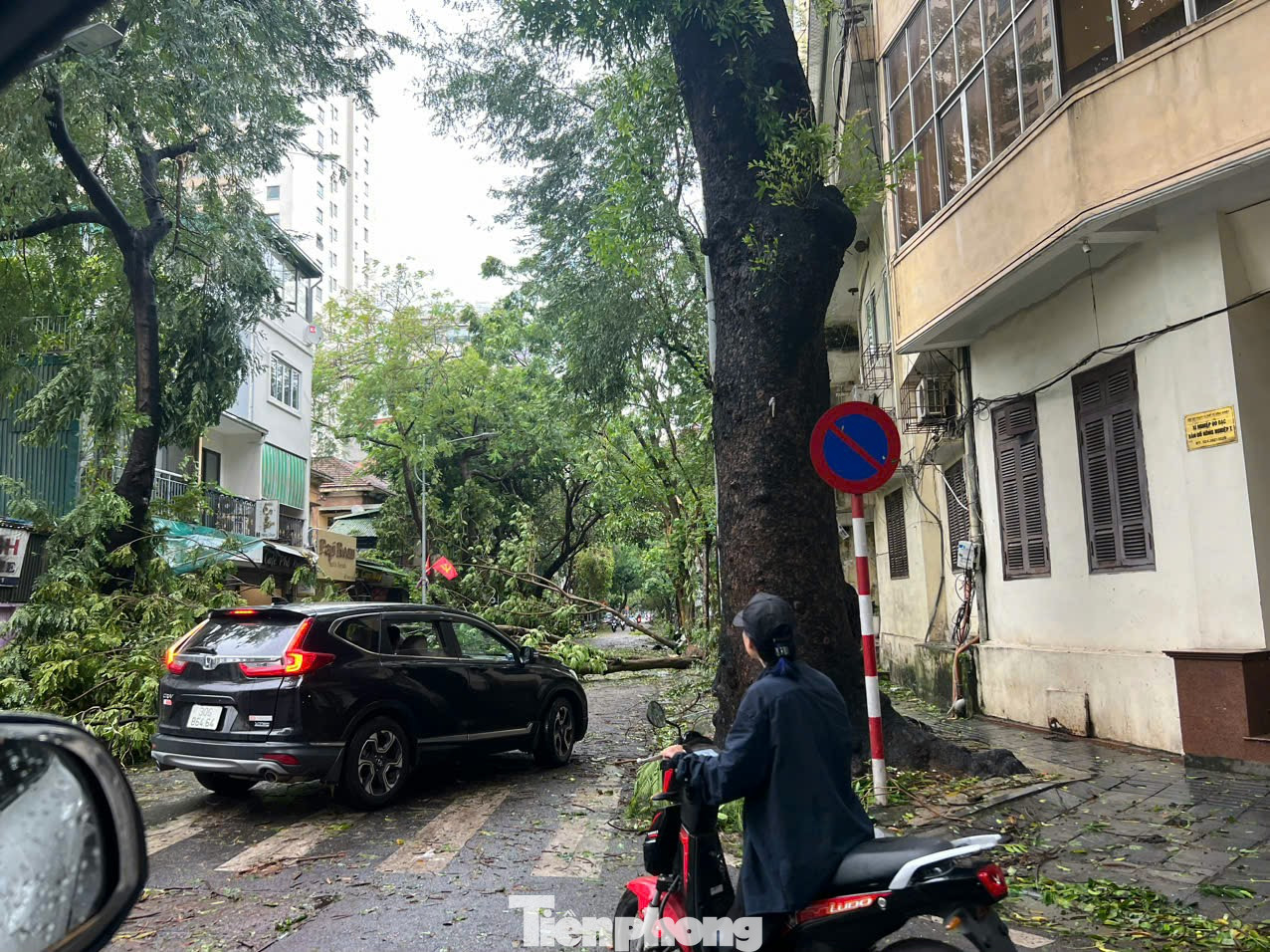 Theo ghi nhận, sáng 8/9, nhiều tuyến phố Hà Nội đã bị tàn phá nặng nề sau cơn bão số 3. Cây cối hai bên đường đổ gãy ngổn ngang. Theo ghi nhận, sáng 8/9, nhiều tuyến phố Hà Nội đã bị tàn phá nặng nề sau cơn bão số 3. Cây cối hai bên đường đổ gãy ngổn ngang.