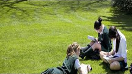 Hiệu trưởng Charles Lee chia sẻ kinh nghiệm thực tiễn du học Canada ảnh 1