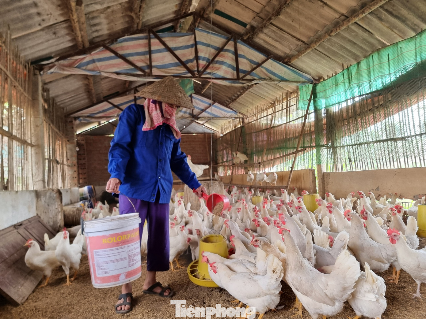 Gia đình bà Trương Thị Tắc thấp thỏm vì mỗi ngày trôi qua đều lỗ chỏng vó. Gia đình bà Trương Thị Tắc thấp thỏm vì mỗi ngày trôi qua đều lỗ chỏng vó.