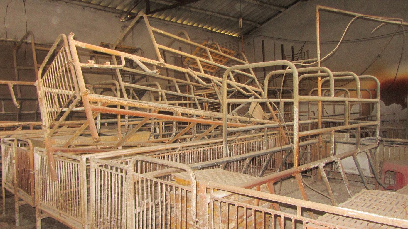 Trại lợn của gia đình ông Tĩnh đầu tư hàng trăm triệu đồng phải bỏ trống vì không chịu được nhiệt cơn bão giá thức ăn chăn nuôi. Trại lợn của gia đình ông Tĩnh đầu tư hàng trăm triệu đồng phải bỏ trống vì không chịu được nhiệt cơn bão giá thức ăn chăn nuôi.