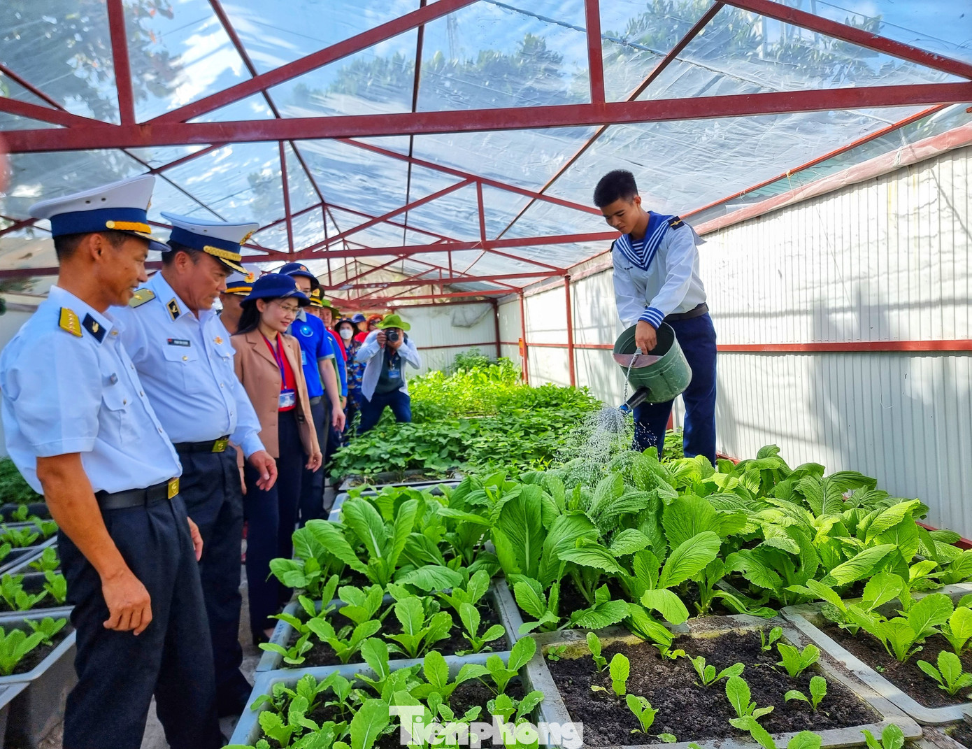 Các chiến sĩ tích cực tăng gia sản xuất trồng rau trên đảo Các chiến sĩ tích cực tăng gia sản xuất trồng rau trên đảo