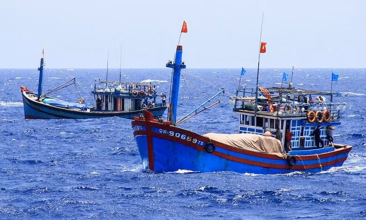 Hội nghề cá Việt Nam cho rằng, lệnh cấm đánh bắt cá của Trung Quốc đã vi phạm nghiêm trọng chủ quyền, các quyền và lợi ích biển, đảo của Việt Nam. Hội nghề cá Việt Nam cho rằng, lệnh cấm đánh bắt cá của Trung Quốc đã vi phạm nghiêm trọng chủ quyền, các quyền và lợi ích biển, đảo của Việt Nam.