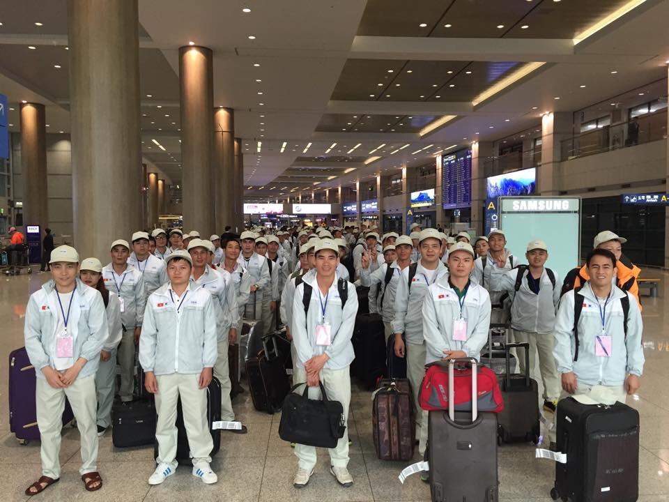 Số lượng lao động Việt đi làm việc ở nước ngoài đã trở lại bình thường như trước khi dịch COVID-19 xảy ra Số lượng lao động Việt đi làm việc ở nước ngoài đã trở lại bình thường như trước khi dịch COVID-19 xảy ra