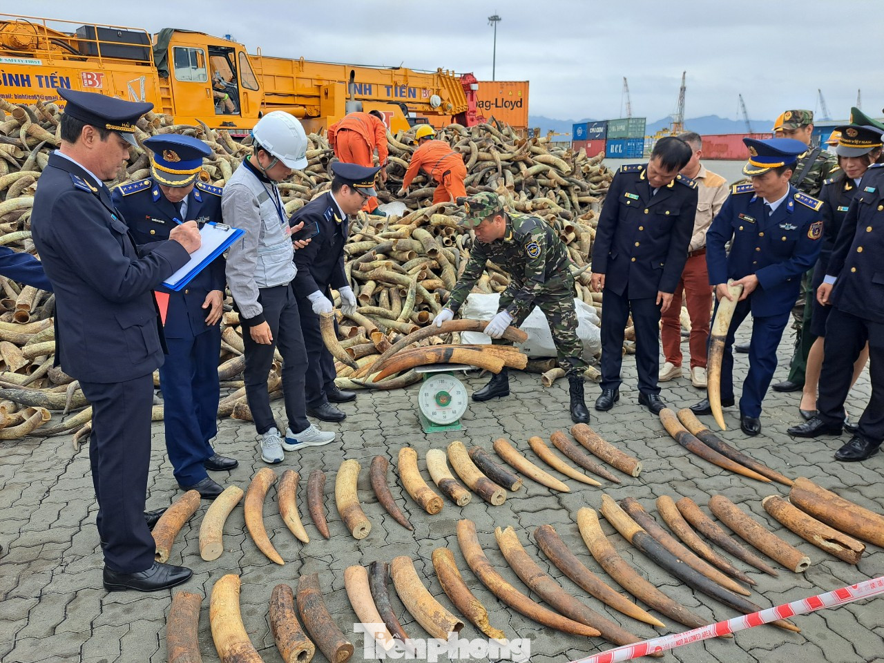 Cục Hải quan Hải Phòng đã giao Đội Kiểm soát hải quan phối hợp với Chi cục Hải quan cửa khẩu cảng Đình Vũ xác minh nguồn tin và xây dựng kế hoạch kiểm tra bắt giữ.