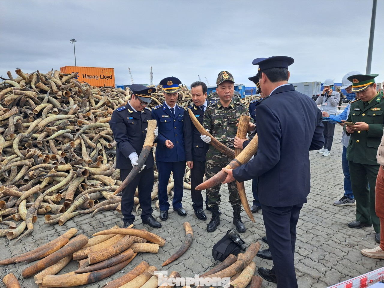 Ông Nguyễn Sỹ Tráng, Phó Cục trưởng Cục Hải quan Hải Phòng cho biết, việc kịp thời phát hiện, bắt giữ các vụ vận chuyển trái phép ngà voi ngay trong dịp đầu xuân mới Quý Mão là kết quả cụ thể của đơn vị trong triển khai chỉ đạo của lãnh đạo Bộ Tài chính, Tổng cục Hải quan và UBND TP Hải Phòng trong thực hiện cao điểm phòng, chống buôn lậu dịp trước, trong và sau tết Quý Mão 2023.