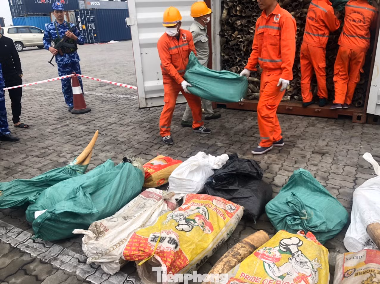 Lô hàng trong một container trên tàu Kota Lihat nhập cảnh cảng Lạch Huyện ngày 3/2. Sau khi kết hợp thông tin nghiệp vụ và biện pháp kỹ thuật, cơ quan Hải quan xác định lô hàng có dấu hiệu vi phạm nên đã ra quyết định khám xét và thu giữ thêm số ngà voi như đề cập ở trên. Lô hàng trong một container trên tàu Kota Lihat nhập cảnh cảng Lạch Huyện ngày 3/2. Sau khi kết hợp thông tin nghiệp vụ và biện pháp kỹ thuật, cơ quan Hải quan xác định lô hàng có dấu hiệu vi phạm nên đã ra quyết định khám xét và thu giữ thêm số ngà voi như đề cập ở trên.